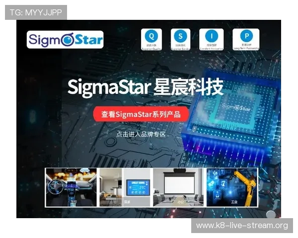 觊发k8旗舰厅登录合作伙伴拓展推动平台多渠道发展实现共赢新局面