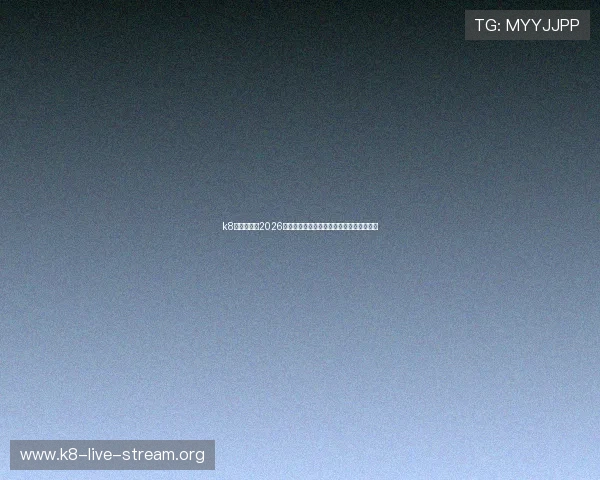 k8中国官网：2026年世界杯足球明星阵容介绍与球员表现分析